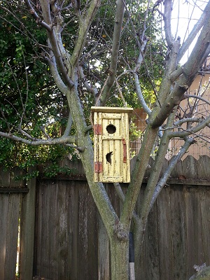 Bluebird 'outhouse'.