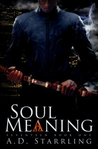 Soul Meaning by A.D. Starrling.