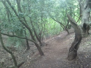 Vanished around the bend.