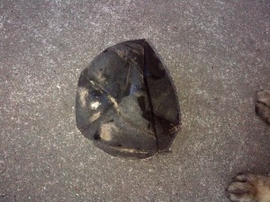 Poor dead ball.