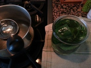 Filling the jars with pickle juice.