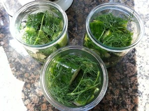 Filled jars.