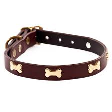 Official Collar.